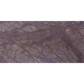 Rainforest Brown